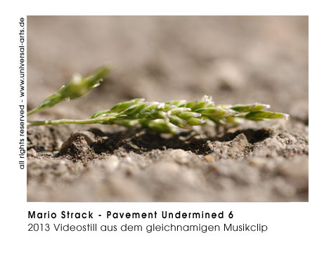 Mario Strack Pavement Undermined 6