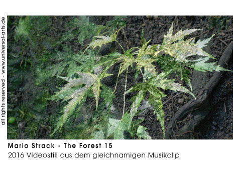 Mario Strack The Forest 15